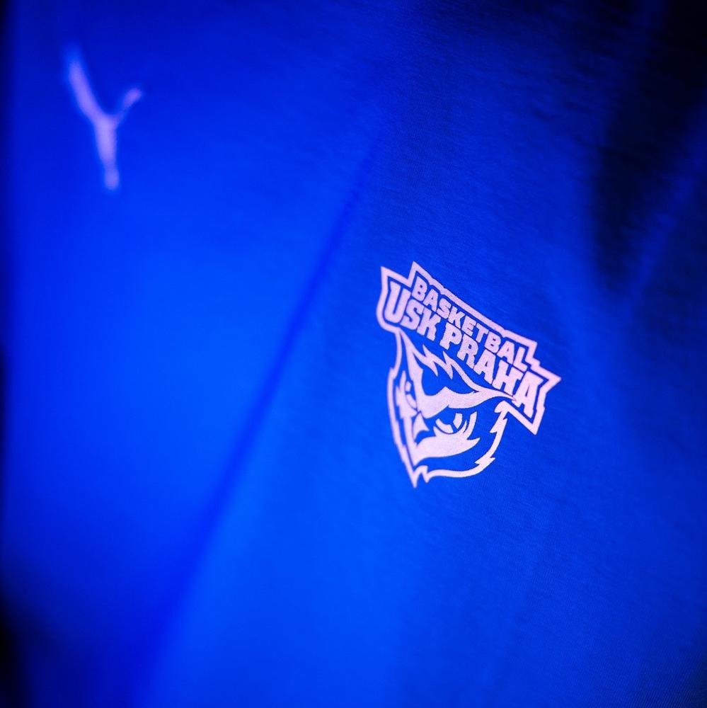 Puma teamGOAL Casuals Tee USK Dunk