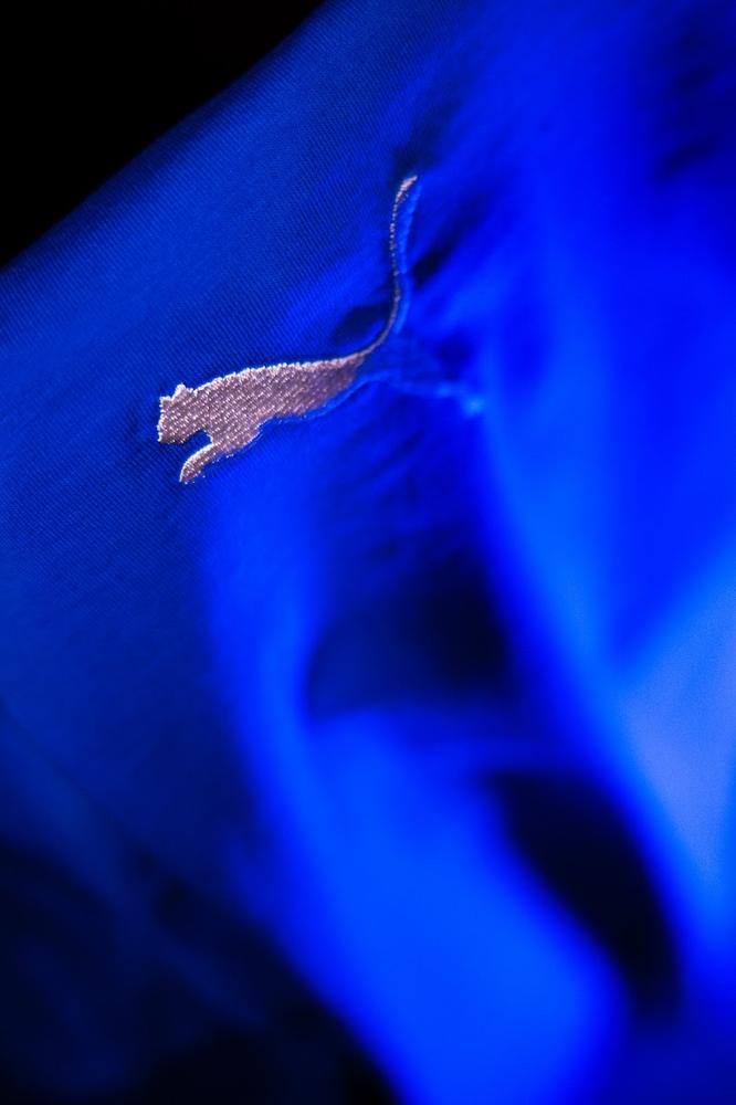 Puma teamGOAL Casuals Tee USK Dunk