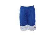 and1 reversible short